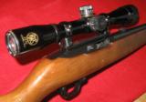 RUGER 10/22 WITH RWS SCOPE - 1 of 12