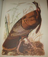 AUDUBONTHE BIRDS OF AMERICA - 1 of 7