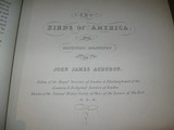 AUDUBONTHE BIRDS OF AMERICA - 4 of 7
