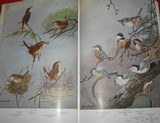 A NATURAL HISTORY OF AMERICAN BIRDS OF EASTERN AND CENTRAL NORTH AMERICA - 6 of 9