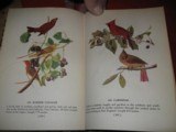 AUDUBON'S BIRDS OF AMERICA - 6 of 6