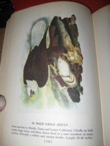 AUDUBON'S BIRDS OF AMERICA - 5 of 6