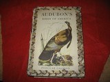 AUDUBON'S BIRDS OF AMERICA - 1 of 6