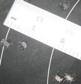 1903 SPRINGFIELD ARMORYSPORTER - 20 of 20