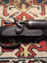 Fredrick William English hammer gun - 6 of 8