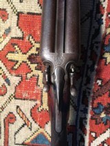Fredrick William English hammer gun - 7 of 8