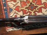Page Wood English Hammer pigeon gun - 7 of 8