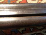 Page Wood English Hammer pigeon gun - 8 of 8