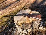 CZ Ringneck 410 Fantastic wood. New - 2 of 7