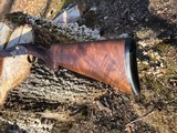 CZ Ringneck 410 Fantastic wood. New - 1 of 7