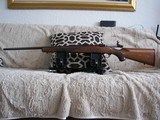 Ruger Model 77 in 250 Savage caliber