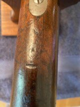 Springfield - 8 of 15