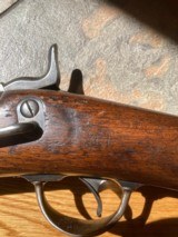 Springfield - 7 of 15