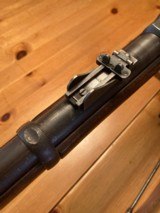 Springfield - 10 of 15