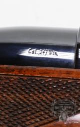 Colt Sauer Sporting Rifle. 243 Win. Outstanding Condition, It's A 98%er. Great Piece Of Wood. - 5 of 7