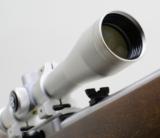 Ruger Model 10/22 22LR Carbine with Stainless Steel Barrel And Silver Scope - 8 of 9