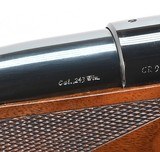 Colt Sauer Sporting Rifle .243 Win. DOM 1975. Fine Condition. Rare Caliber Colt Sauer - 7 of 8