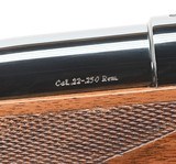 Colt Sauer Sporting Rifle .22-250 Rem. DOM 1978. Like New Condition - 7 of 8