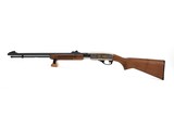 Remington Model 572 NRA 2004 Gun Of The Year .22 S, L, LR 21