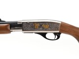 Remington Model 572 NRA 2004 Gun Of The Year .22 S, L, LR 21