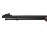 Remington Model 572 NRA 2004 Gun Of The Year .22 S, L, LR 21