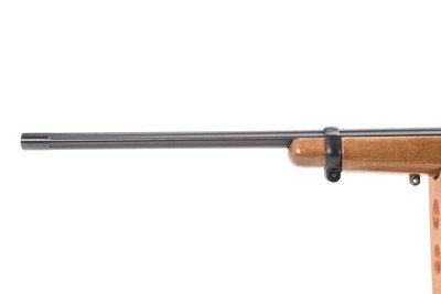 2007 Ruger 10/22 .22 LR 20