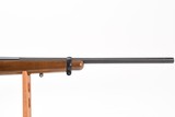 2007 Ruger 10/22 .22 LR 20