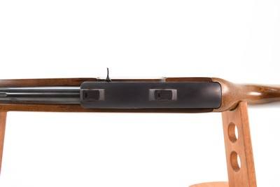 2007 Ruger 10/22 .22 LR 20