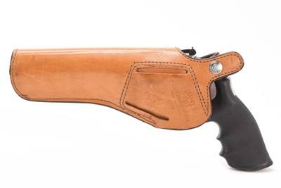 Smith & Wesson 686 .357 Magnum 6