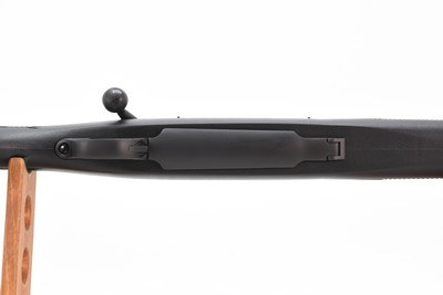 Ruger M77 Hawkeye Alaskan .375 Ruger 20