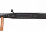 Ruger M77 Hawkeye Alaskan .375 Ruger 20