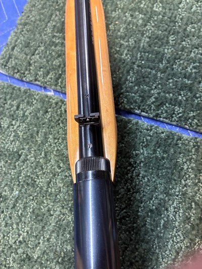 Browning SA 22 Short - Image 8 of 14