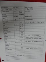 Very early 6 digit Inland M1 Carbine Collector Grade - 13 of 13