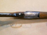 Bernardelli, Gamecock, 20 ga. - 8 of 8