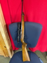 Ruger 10/22 Carbine - 1 of 8