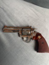 Colt Diamond back - 1 of 10