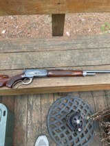 Winchester Model 71 Deluxe - 4 of 14
