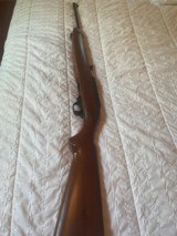 Ruger 10/22