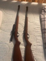 A pair of Marlin Model 60