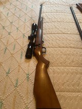 Savage Model 93 22 Magnum