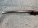 Ruger M77 MK II Stainless 204 Ruger - 10 of 16