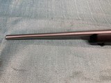 Ruger M77 MK II Stainless 204 Ruger - 10 of 14