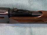 Remington Nylon 66 .22 LR - 4 of 21