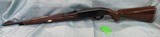 Remington Nylon 66 .22 LR - 10 of 21