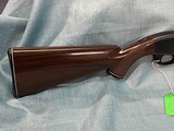 Remington Nylon 66 .22 LR - 3 of 21