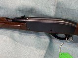 Remington Nylon 66 .22 LR - 12 of 21