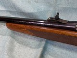 Winchester Model 70 375 H&H Mag Super Express - 17 of 23