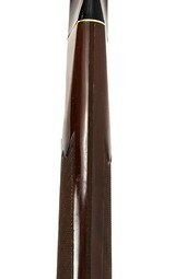 Remington **Rare** Nylon 76 Lever Action 22LR ** Free Shipping ** - 24 of 24