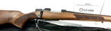 CZ 557 Sporter 243 New in Box *No longer in production* Discontinued 2018 - 1 of 11