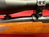 Ruger 77/22 in .22LR Bolt action with Vortex 2-7 x scope - 12 of 14